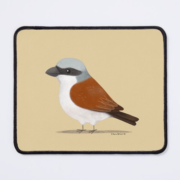 Item preview, Red Backed Shrike designed and sold by julianamotzko.