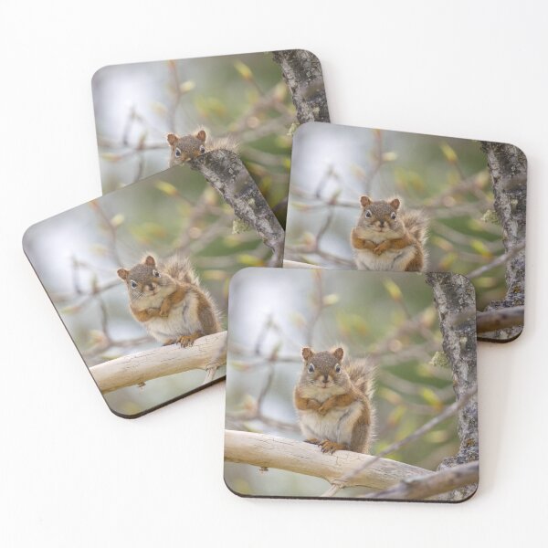 Item preview, SWEET SQUIRREL designed and sold by adumont1.