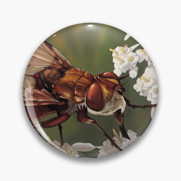 Item preview, Ectophasia crassipennis male on Achillea nobilis. designed and sold by RyukiArtbook.