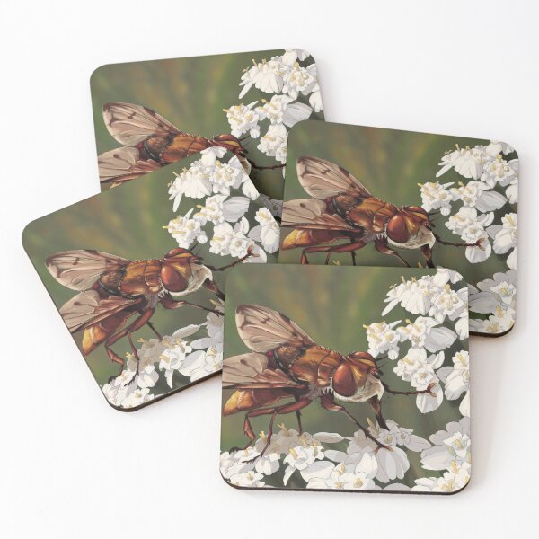 Item preview, Ectophasia crassipennis male on Achillea nobilis. designed and sold by RyukiArtbook.