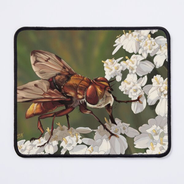 Item preview, Ectophasia crassipennis male on Achillea nobilis. designed and sold by RyukiArtbook.