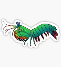 Friendly Mantis Shrimp Sticker