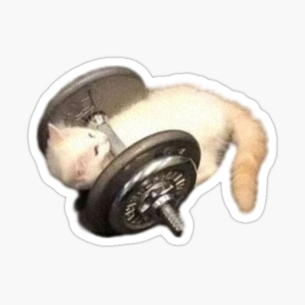 Item preview, Gym Kitty designed and sold by MindExpansion.