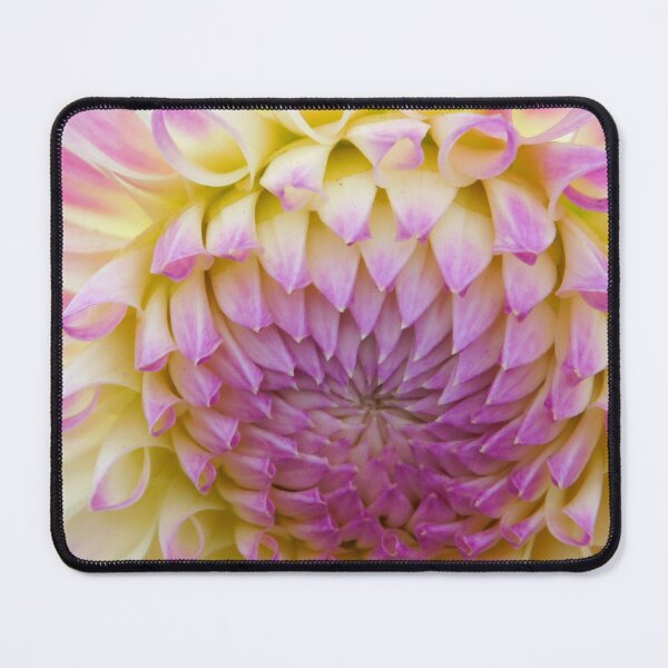 Item preview, Dahlia Symmetry designed and sold by Atlastracer.