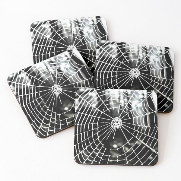 Item preview, Webs designed and sold by Parks and X.