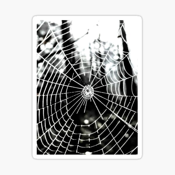 Item preview, Webs designed and sold by Parks and X.