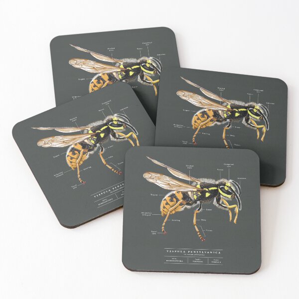 Item preview, Detailed Wasp Illustration designed and sold by Paalokas.