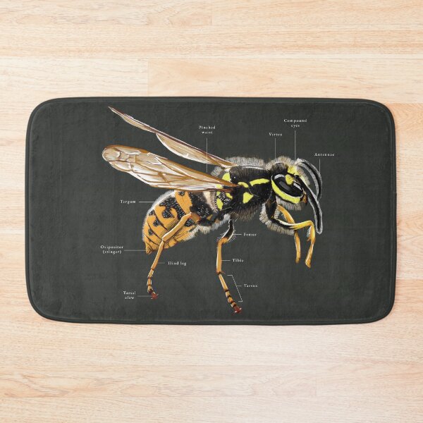 Item preview, Detailed Wasp Illustration designed and sold by Paalokas.