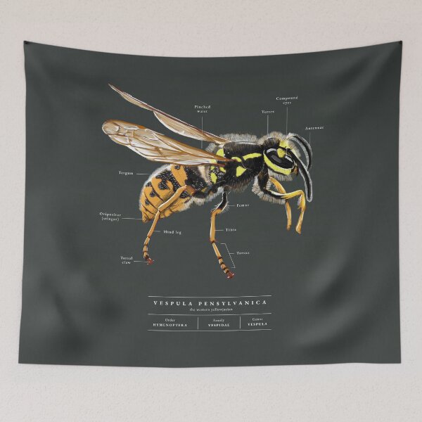 Item preview, Detailed Wasp Illustration designed and sold by Paalokas.