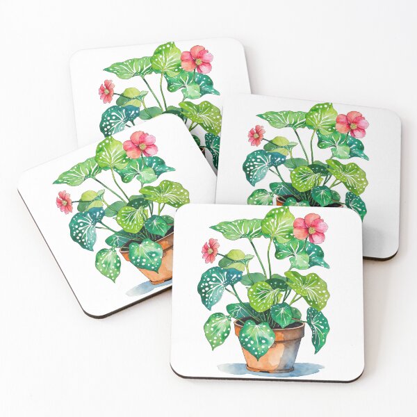Item preview, Begonia in a pot, watercolor art designed and sold by NatashaSokolova.