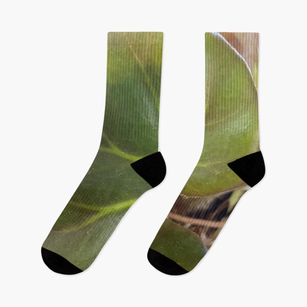 Item preview, Circular Leaf on a Tropical Plant  designed and sold by CJRPics.