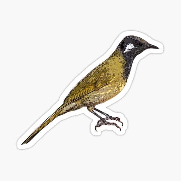 Item preview, White-eared Honeyeater Color Design  designed and sold by designsasstultd.