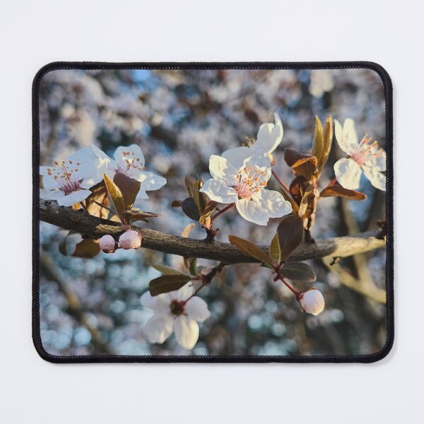 Item preview, Delicate white flowers designed and sold by Atlastracer.