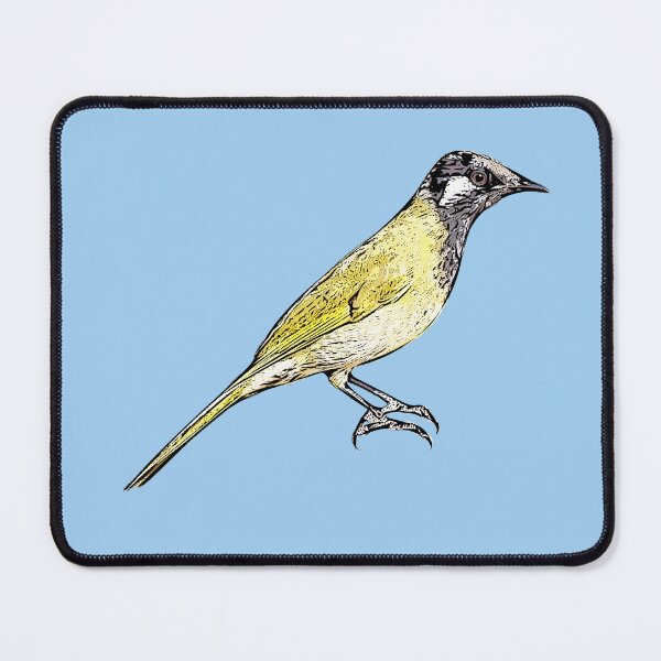 Item preview, White-eared Honeyeater Black Alternate Design  designed and sold by designsasstultd.
