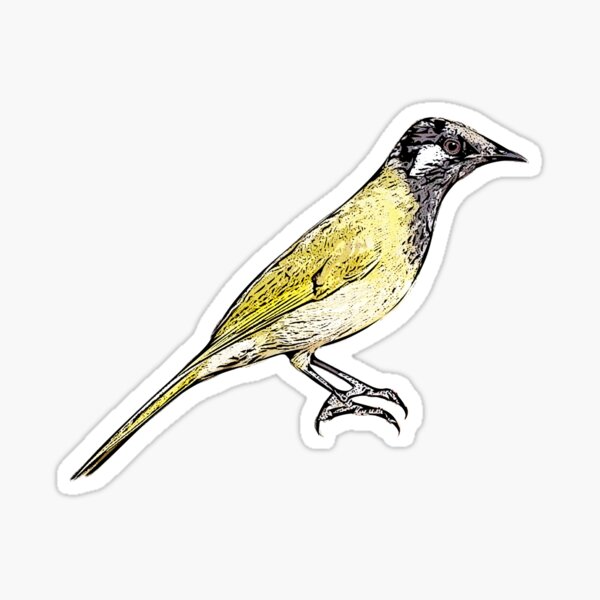 Item preview, White-eared Honeyeater Black Alternate Design  designed and sold by designsasstultd.