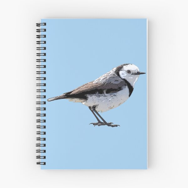 Item preview, White-fronted Chat Color Design  designed and sold by designsasstultd.