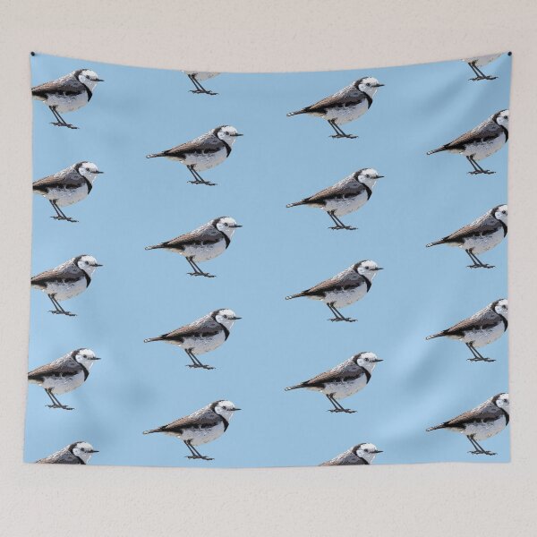 Item preview, White-fronted Chat Color Design  designed and sold by designsasstultd.