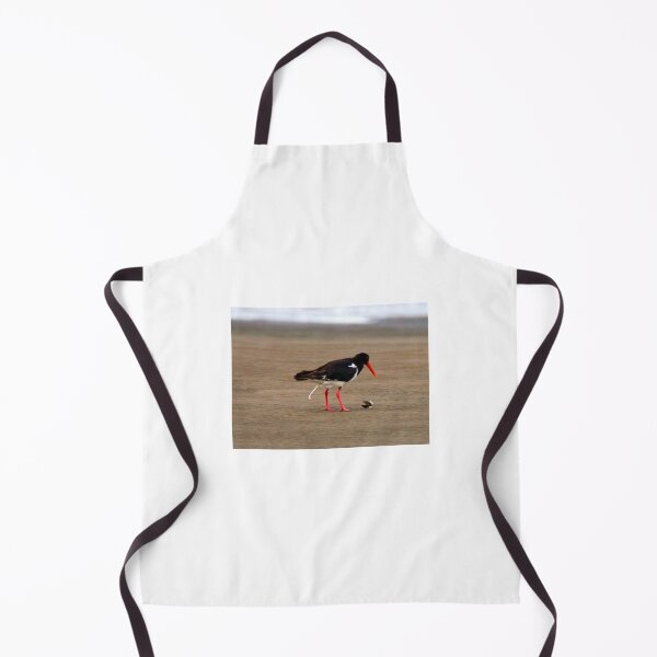 Item preview, new snack ready, old snack dispatched - Pied Oystercatcher (Bird) designed and sold by BirdsAlive.