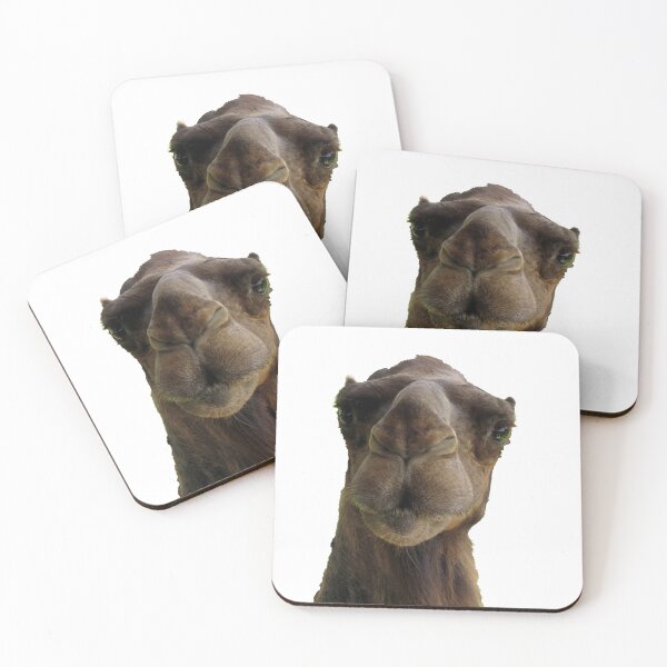 Item preview, Lone Candid Camel Ship of the Desert Wisconsin Funny designed and sold by BGGretchen.