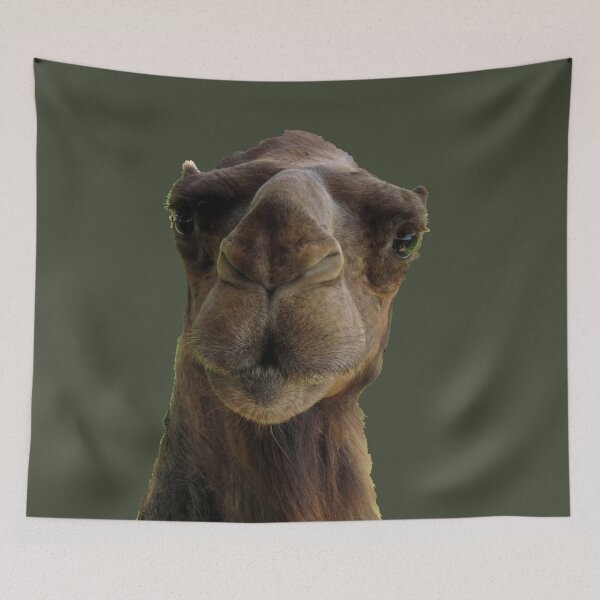 Item preview, Lone Candid Camel Ship of the Desert Wisconsin Funny designed and sold by BGGretchen.