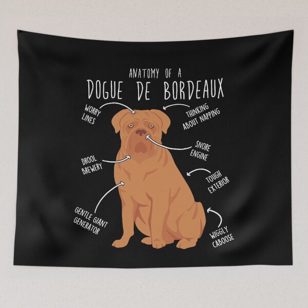 Item preview, Dogue de Bordeaux Dog Anatomy designed and sold by Clara Hollins.