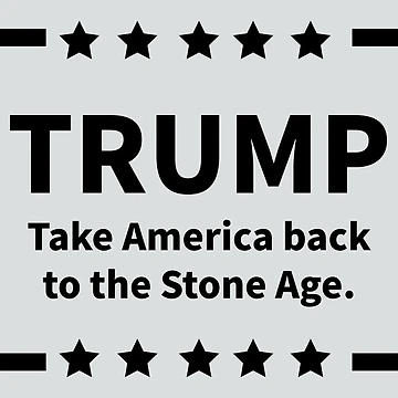Artwork thumbnail, Take America back by Rachel the Artist