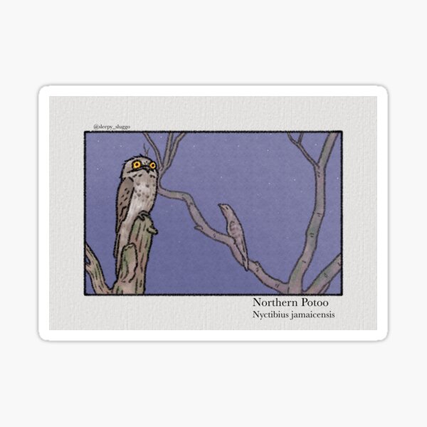 Item preview, Northern potoo designed and sold by sleepysluggo.