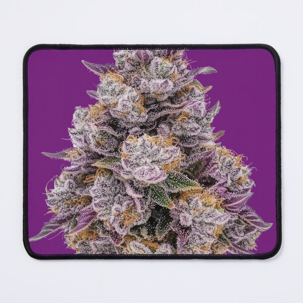 Item preview, purple kush designed and sold by wadi9144.