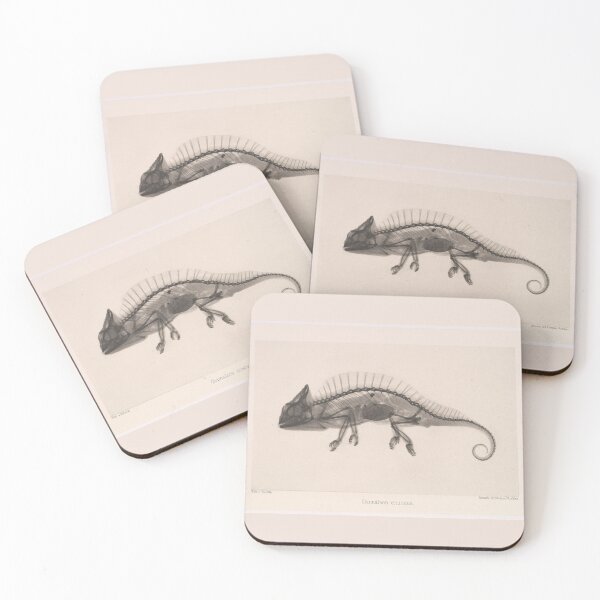 Item preview, Chameleon X-ray by Eduard Valenta designed and sold by Amanda1775.