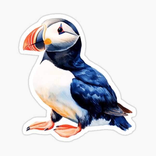 Artikel-Vorschau von Atlantic Puffin, designt und verkauft von ChaosReigns91.