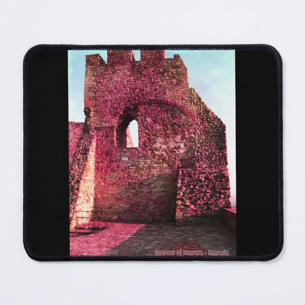 Item preview,  "Fortress of Suceava - Romania" Photography by Alice CCI designed and sold by VanyssaGraphics.