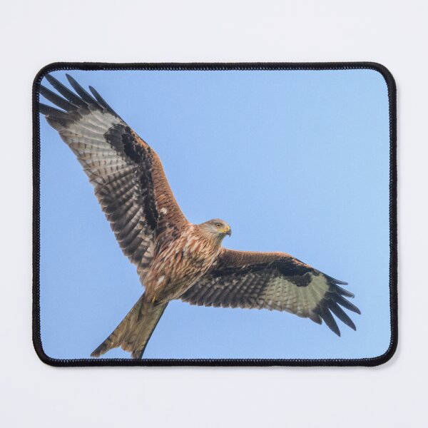 Item preview, Red Kite designed and sold by ccullen222.