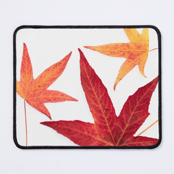 Item preview, Autumn Leaves designed and sold by ccullen222.