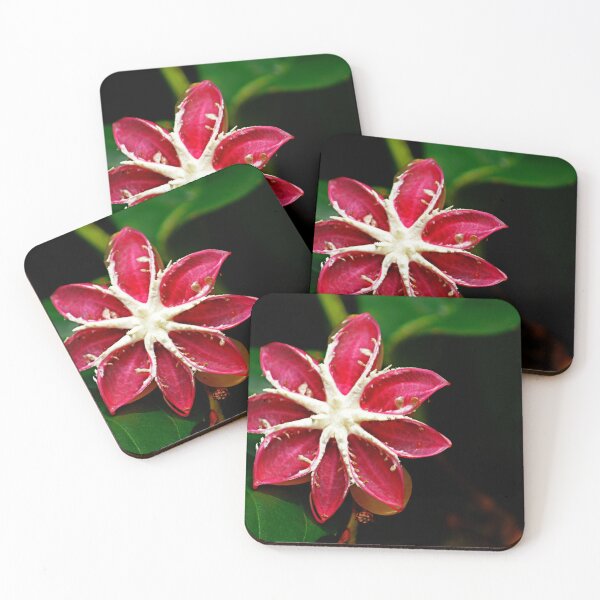 Item preview, Flowers and roses 11 - (C) ben yassa designed and sold by beny .