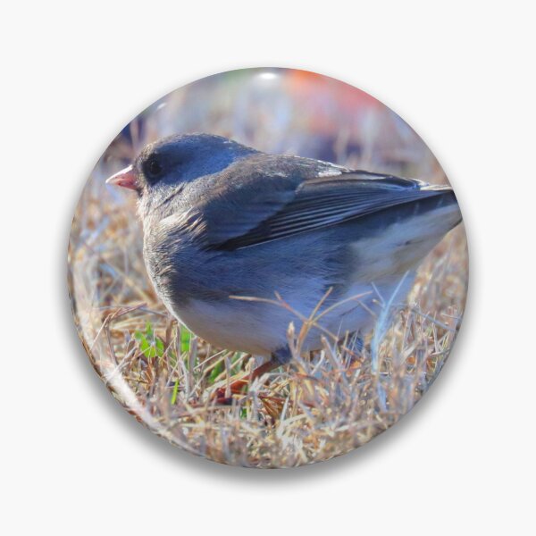 Item preview, Dark-eyed Junco designed and sold by Parks and X.
