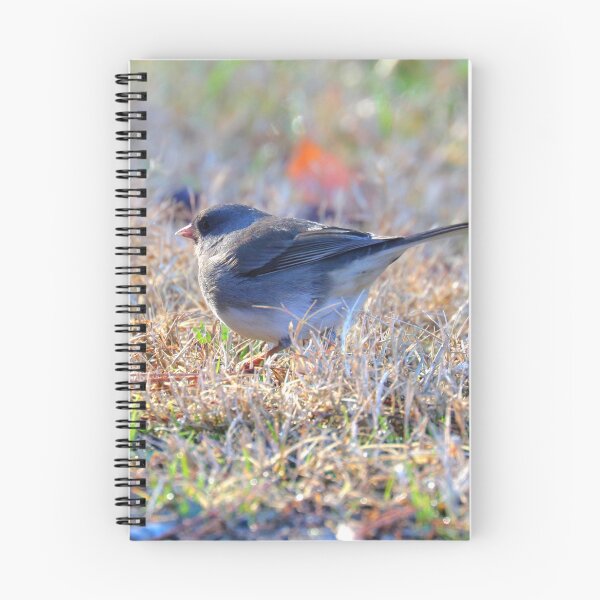 Item preview, Dark-eyed Junco designed and sold by Parks and X.