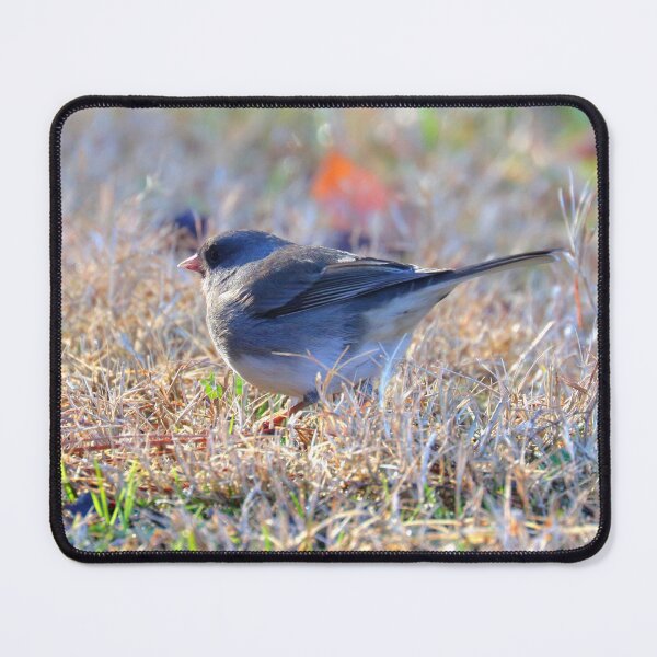 Item preview, Dark-eyed Junco designed and sold by Parks and X.