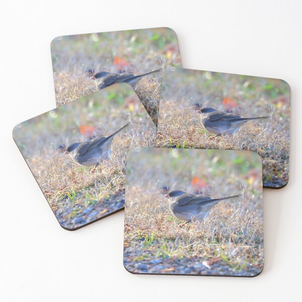 Item preview, Dark-eyed Junco designed and sold by Parks and X.