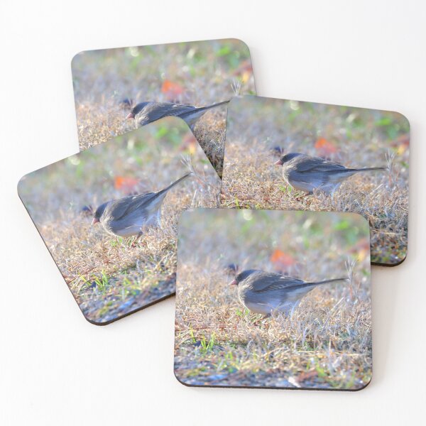 Item preview, Junco designed and sold by Parks and X.
