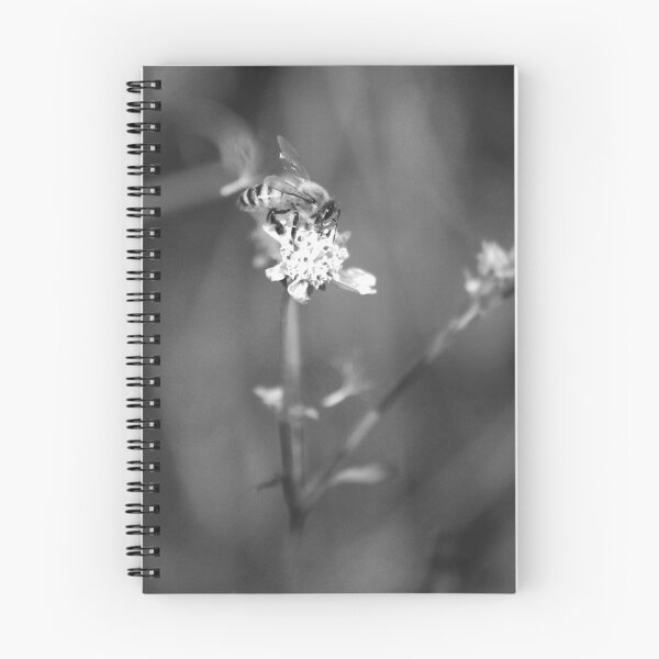 Item preview,   American Honey Bee Black And White designed and sold by MercerImages.