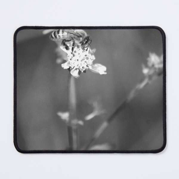 Item preview, American Honey Bee Black And White designed and sold by MercerImages.