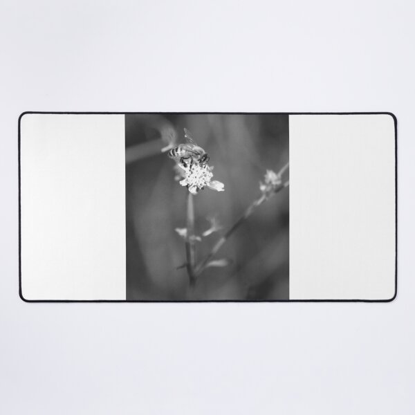 Item preview,   American Honey Bee Black And White designed and sold by MercerImages.