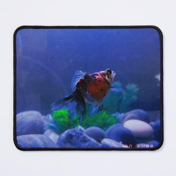 Item preview, Fishy designed and sold by SKZ_louknows.