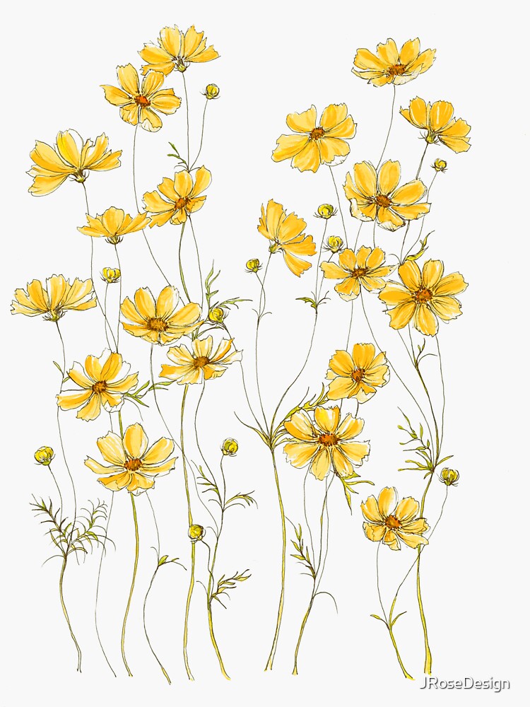 Yellow Cosmos Flowers by JRoseDesign