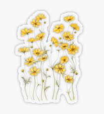Gelbe Kosmosblumen Transparenter Sticker