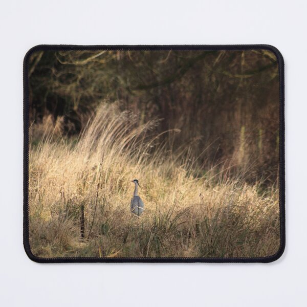 Item preview, Lone Heron in the Reeds designed and sold by Page Photography.