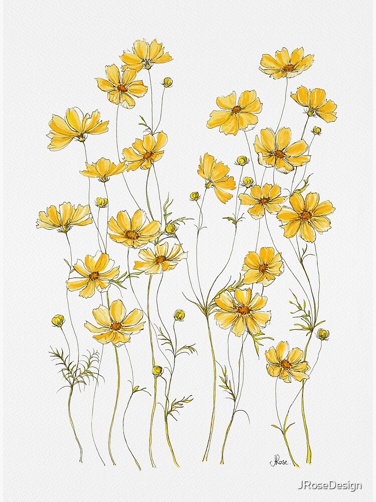 Yellow Cosmos Flowers by JRoseDesign