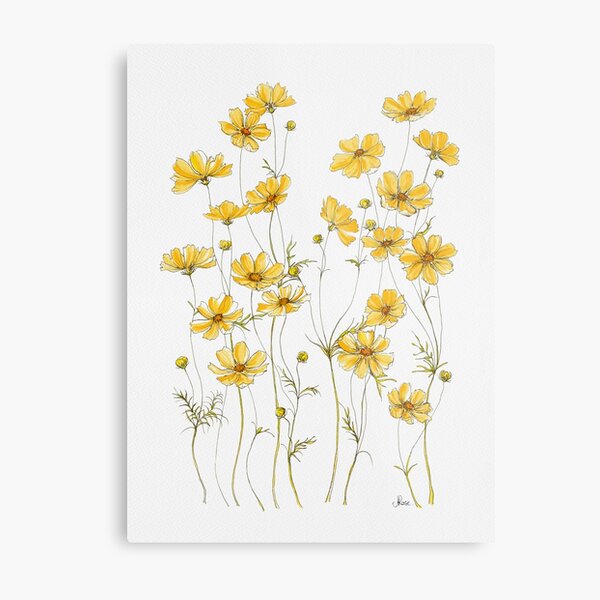 Yellow Cosmos Flowers Metal Print