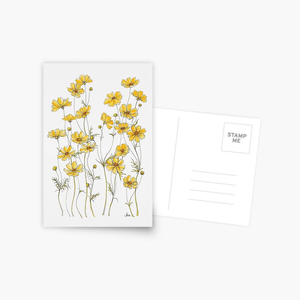 Yellow Cosmos Flowers Postcard