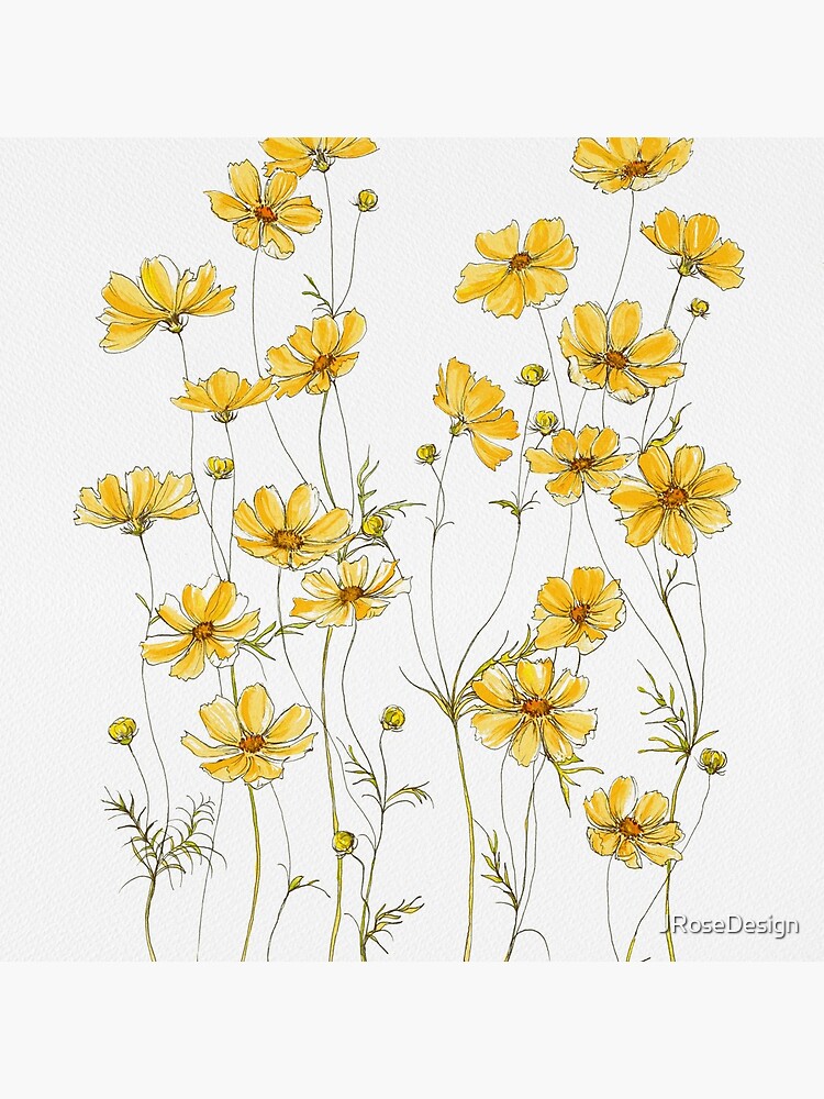 Yellow Cosmos Flowers by JRoseDesign